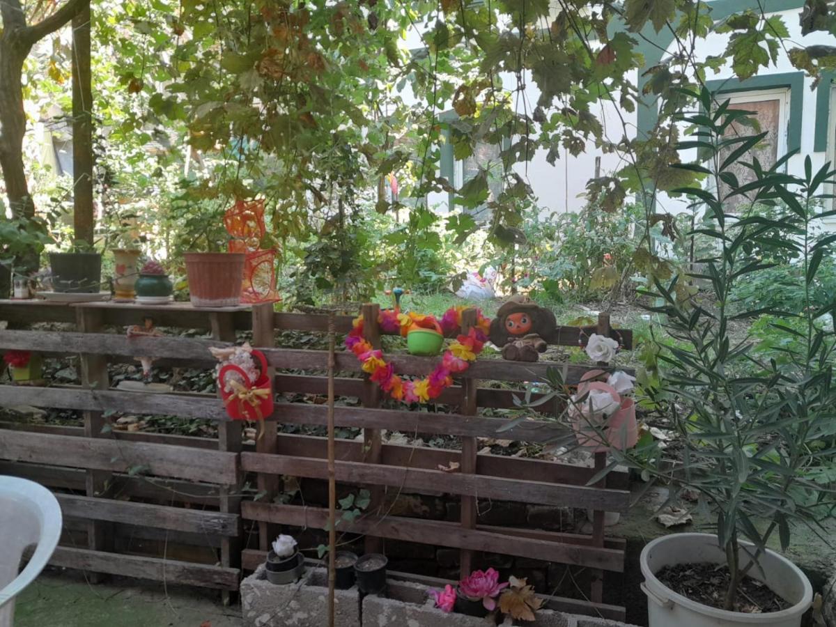 Adem'S Cozy Terrace Retreat Bed & Breakfast สโกเปีย ภายนอก รูปภาพ