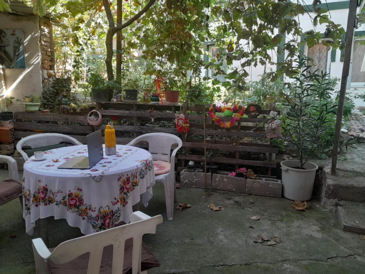 Adem'S Cozy Terrace Retreat Bed & Breakfast สโกเปีย ภายนอก รูปภาพ